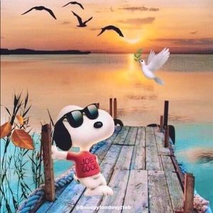 Meet your Posher, Norma